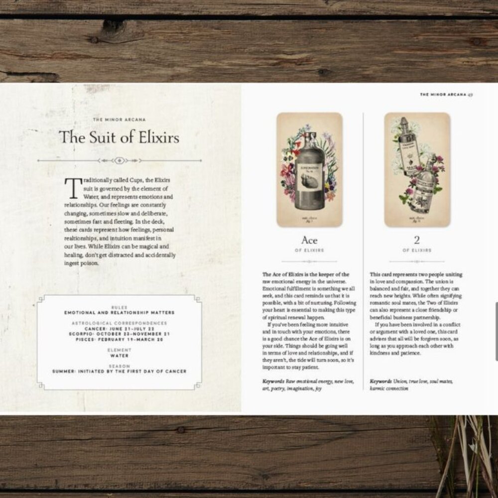 Antique Anatomy Tarot Deck | 78-Card Tarot with Guidebook | Gift Ready - Picture 14 of 16